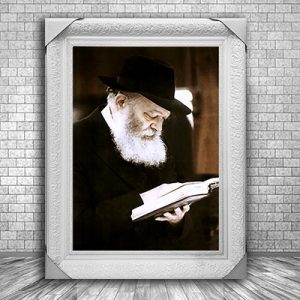 233 – תמונה של הרבי מליובאוויטש מחזיק ספר תורה ומתפלל