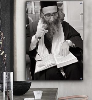 4081 – תמונה של הרב יאשיהו פינטו על קנבס שחור לבן