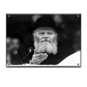 354 – תמונה של הרבי מליובאוויטש מושיט את היד בשחור לבן