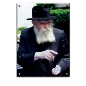 183 – תמונה של הרבי מליובאוויטש מחזיק מטבע צדקה