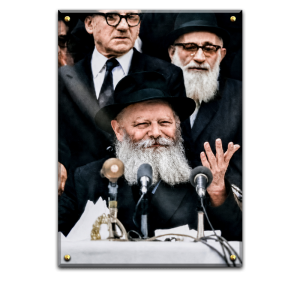 204 – תמונה משוחזרת של הרבי מליובאוויטש בצבעוני