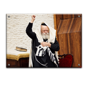 221 – תמונה של הרבי מליובאוויטש מעודד עם טלית על הראש