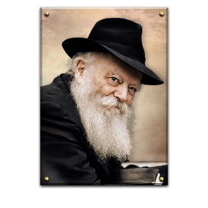 460 – תמונה מיוחדת של הרבי מליובאוויטש מחייך
