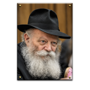 484 – תמונת פנים של הרבי מליובאוויטש