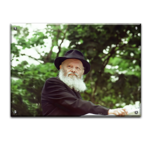 498 – תמונה של הרבי מליובאוויטש נואם על רקע עצים בירוק
