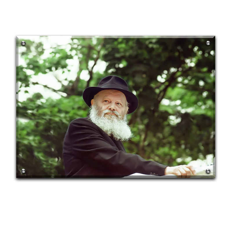 498 - תמונה של הרבי מליובאוויטש נואם על רקע עצים בירוק