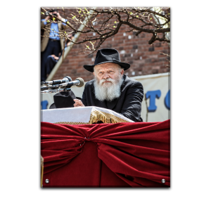 503 – תמונה של הרבי מליובאוויטש