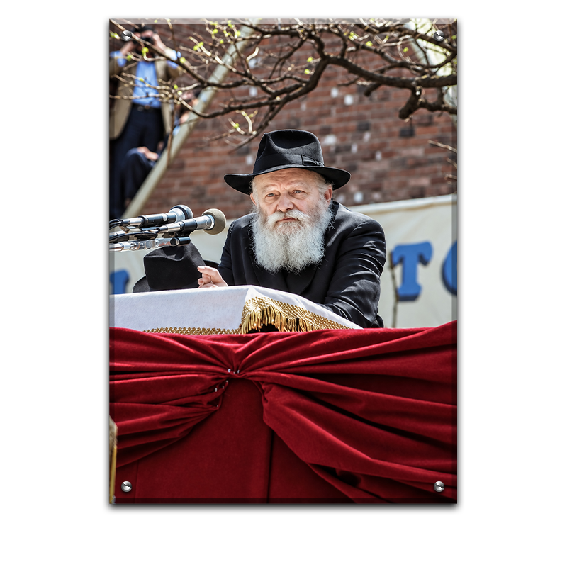 503 - תמונה של הרבי מליובאוויטש