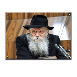 507 – תמונה של הרבי מליובאוויטש על קנבס או זכוכית