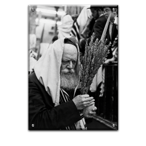 784 – תמונה של הרבי מליובאוויטש על קנבס או זכוכית מחוסמת