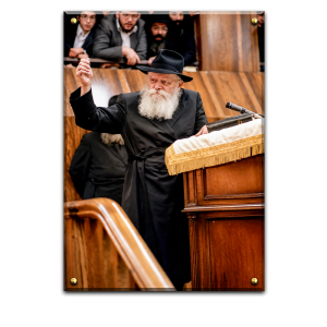 263 – תמונה של הרבי מליובאוויטש על קנבס או זכוכית