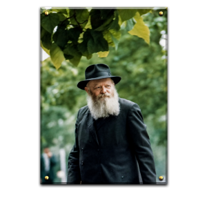842 – תמונה של הרבי ברקע עצים ירוקים