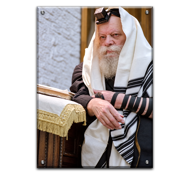 446 - תמונה של הרבי מליובאוויטש עטוף טלית
