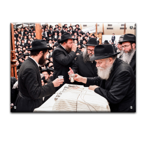 262 – תמונה של הרבי מוזג כוס של יין