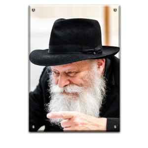 739 – תמונה של הרבי מליובאוויטש מחייך
