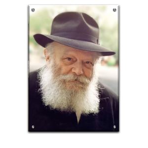 556 – תמונת פנים מיוחדת של הרבי מליובאוויטש על זכוכית או קנבס