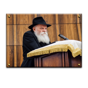 600 – תמונה של הרבי מליובאוויטש נואם על קנבס או זכוכית מחוסמת