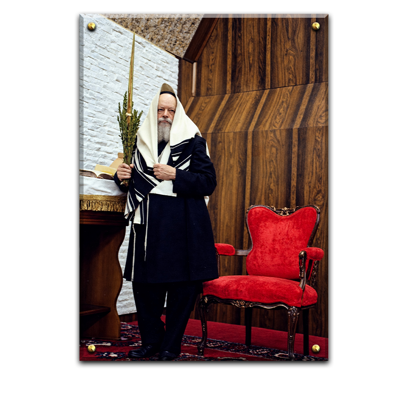 206 - תמונה של הרבי מליובאוויטש עם ארבעת המינים