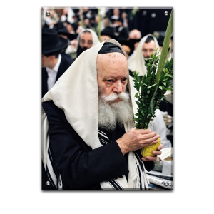 615 – תמונה של הרבי מליובאוויטש מחזיק אתרוג ולולב בסוכות