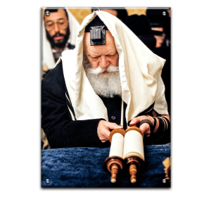 207 – תמונה של הרבי מליובאוויטש קורא בתורה