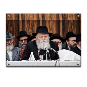 643 – תמונה של הרבי מליובאוויטש נואם בהתוועדות על קנבס או זכוכית