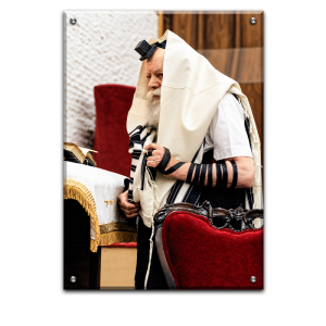 648 – תמונה של הרבי מליובאוויטש על קנבס או זכוכית מחוסמת