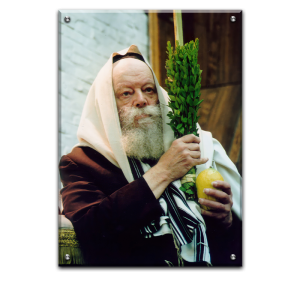 649 – תמונה של הרבי מליובאוויטש מחזיק אתרוג ולולב בסוכות