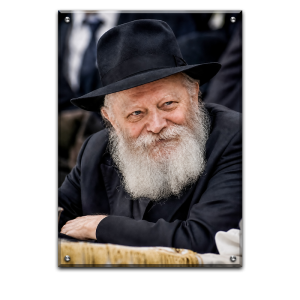 289- תמונה של הרבי מליובאוויטש להדפסה על קנבס או זכוכית
