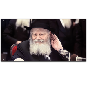 201 – תמונה של הרבי מליובאוויטש מחייך להדפסה על זכוכית או קנבס מידה פנורמית