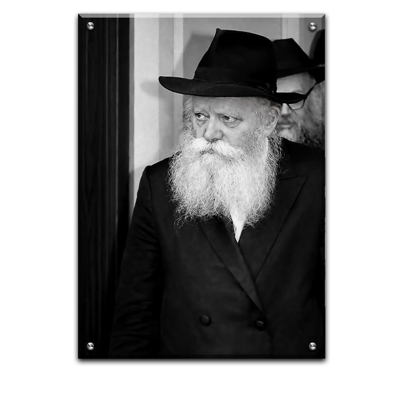 173 - תמונה שחור לבן של הרבי במבט חודר