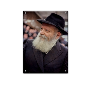 313 – הרבי בזווית מודרנית