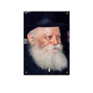 171 – תקריב של הרבי מליובאוויטש מחייך