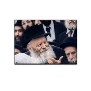 166 – תמונת תקריב מיוחדת של הרבי