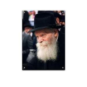 164 – תמונת תקריב של הרבי מליובאוויטש