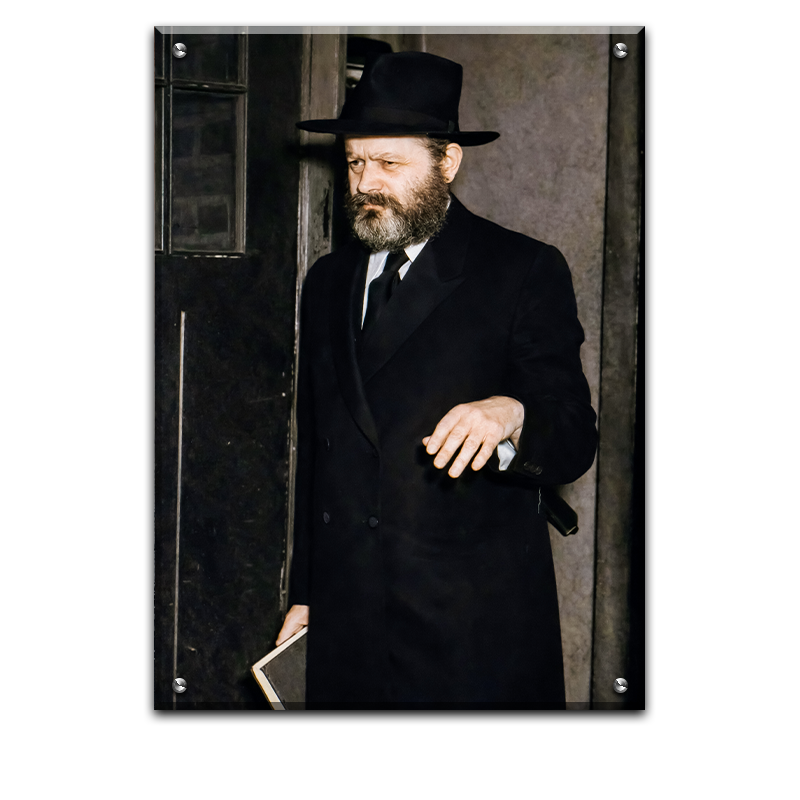 157 - תמונה משוחזרת בצבע של הרבי בצעירותו