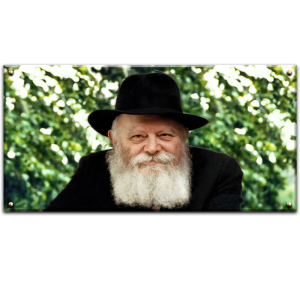 149 – תמונה מיוחדת של הרבי ברקע ירוק – פנורמי
