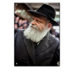 313 – הרבי בזווית מודרנית
