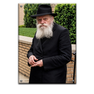 176 – תמונת מיוחדת של הרבי מליובאוויטש נותן צדקה