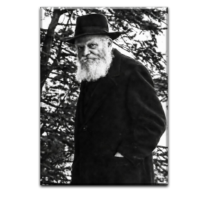 366- תמונה של הרבי מליובאוויטש להדפסה על קנבס או זכוכית
