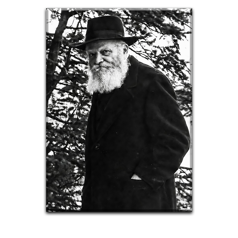 366- תמונה של הרבי מליובאוויטש להדפסה על קנבס או זכוכית