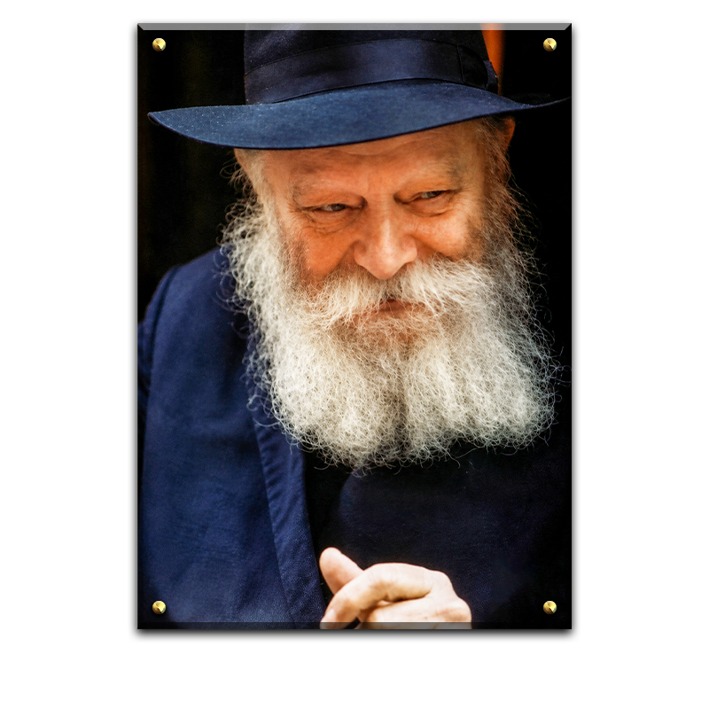 431 - תמונת פנים של הרבי מליובאוויטש